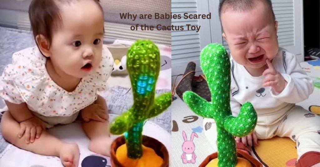 Why are Babies Scared of the Cactus Toy