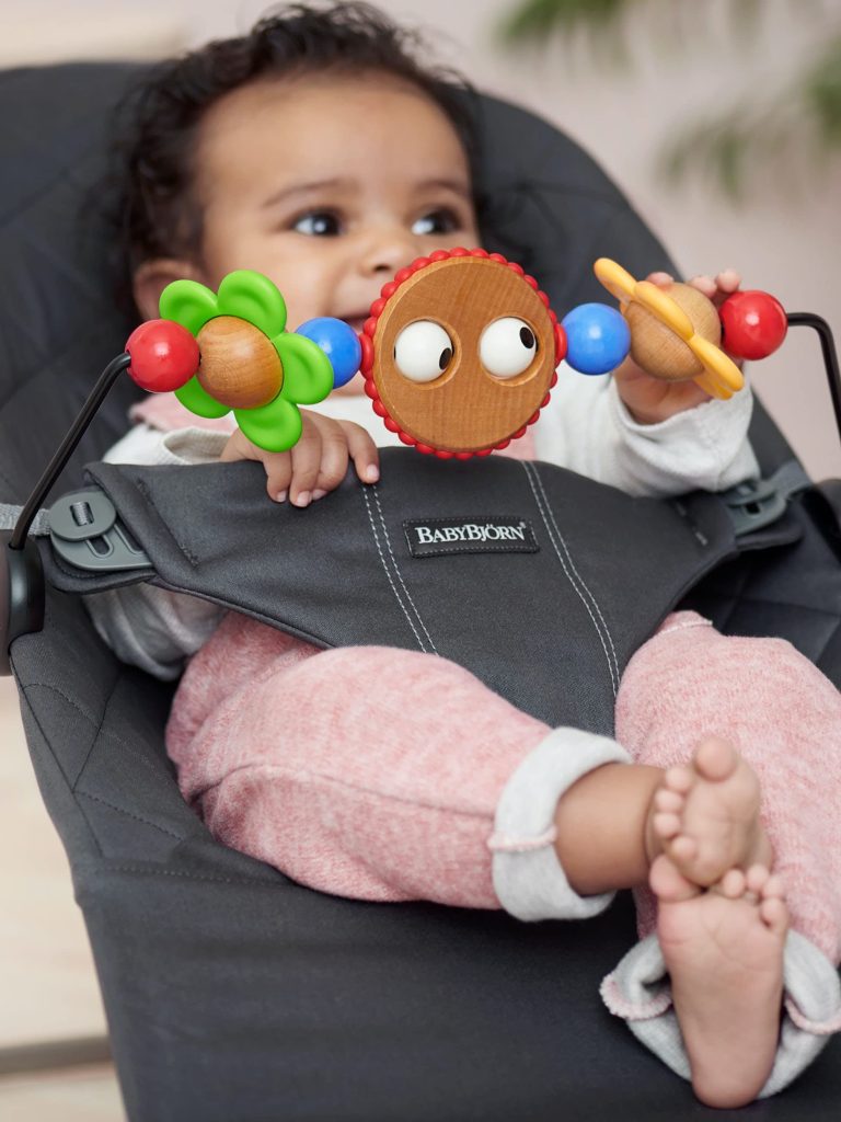 Baby Bjorn Bouncer Toy Bar