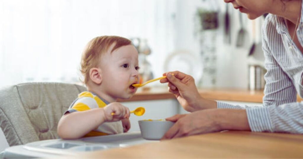 How Much Does Baby Food Cost Per Month